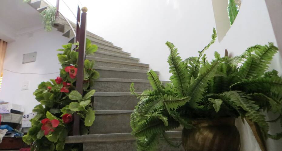 Vara Guest House, Udaipur 4